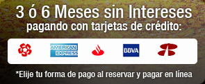 3 � 6 Meses sin Intereses pagando con tarjetas de cr�dito: Banamex, Santandar,American Express, Bancomer.