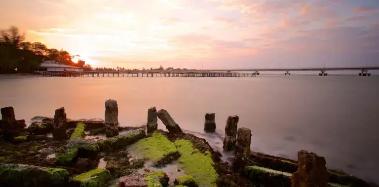 puente el zacatal en ciudad del carmen