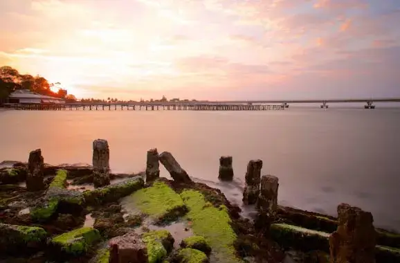 puente el zacatal en ciudad del carmen