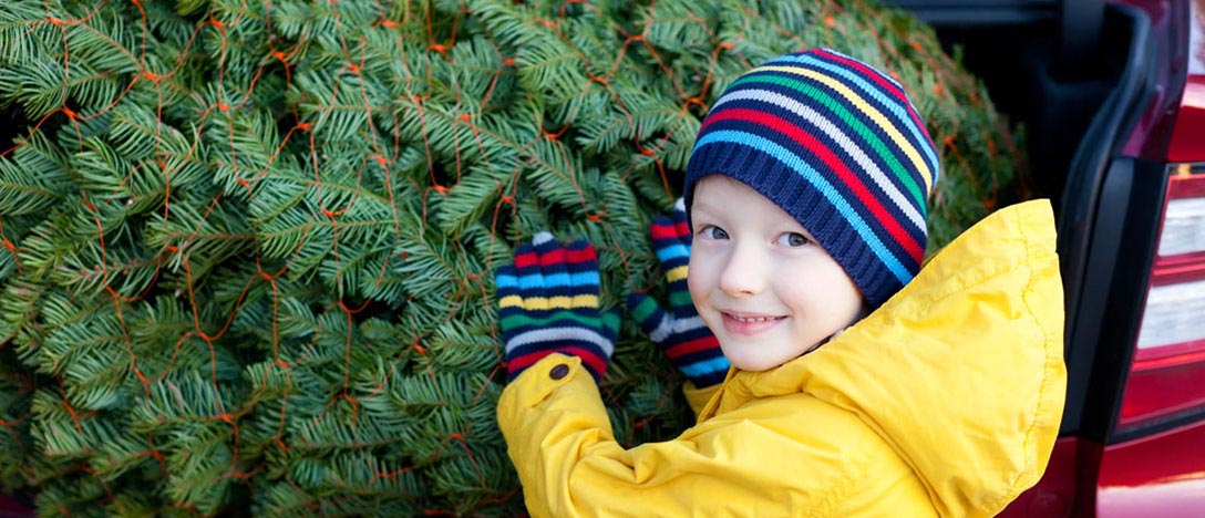 Europcar guadalajara